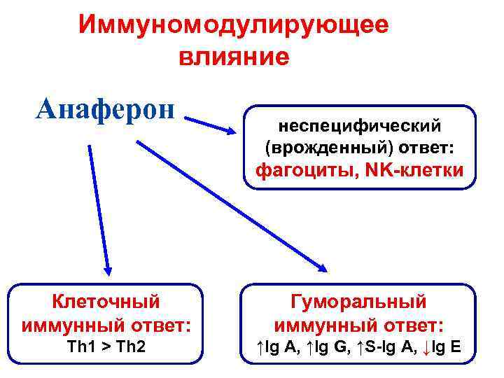 Иммуномодулирующее влияние Анаферон неспецифический (врожденный) ответ: фагоциты, NK-клетки Клеточный иммунный ответ: Гуморальный иммунный ответ: