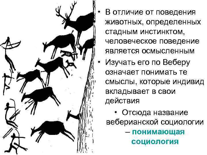  • В отличие от поведения животных, определенных стадным инстинктом, человеческое поведение является осмысленным