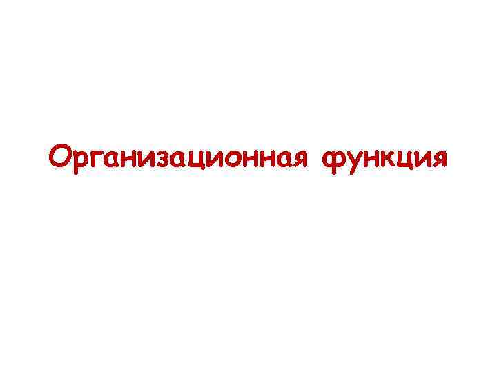 Организационная функция 