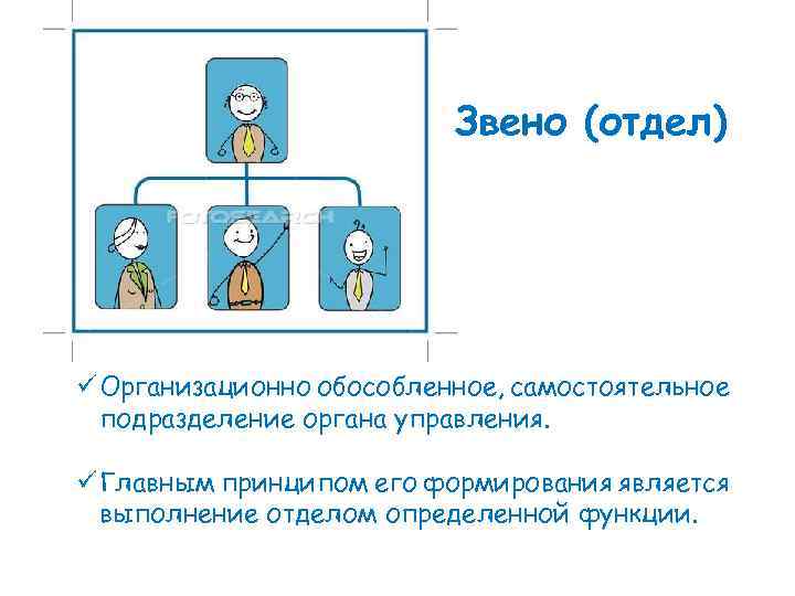 Звено (отдел) ü Организационно обособленное, самостоятельное подразделение органа управления. ü Главным принципом его формирования