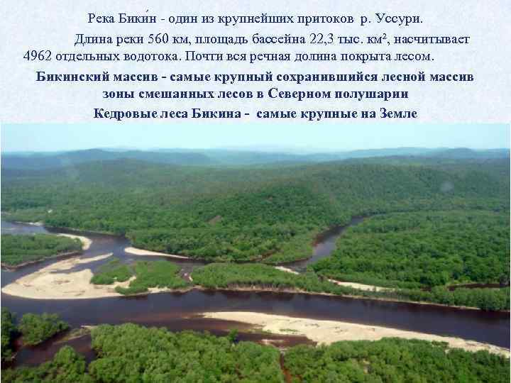 Река Бики н - один из крупнейших притоков р. Уссури. Длина реки 560 км,