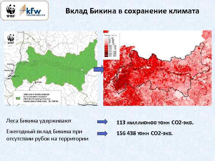 Вклад Бикина в сохранение климата Леса Бикина удерживают 113 миллионов тонн CO 2 -экв.