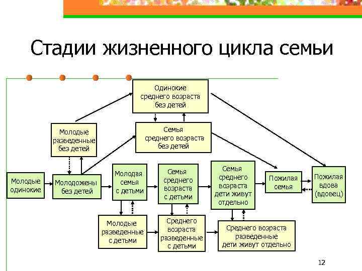 Жизненный цикл семьи