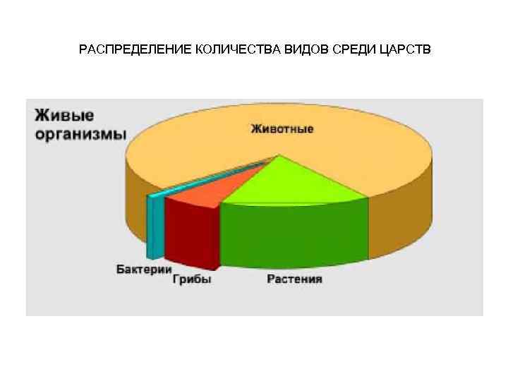 РАСПРЕДЕЛЕНИЕ КОЛИЧЕСТВА ВИДОВ СРЕДИ ЦАРСТВ 