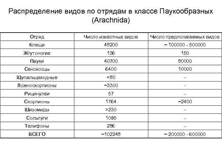 Распределение видов по отрядам в классе Паукообразных (Arachnida) Отряд Число известных видов Число предполагаемых