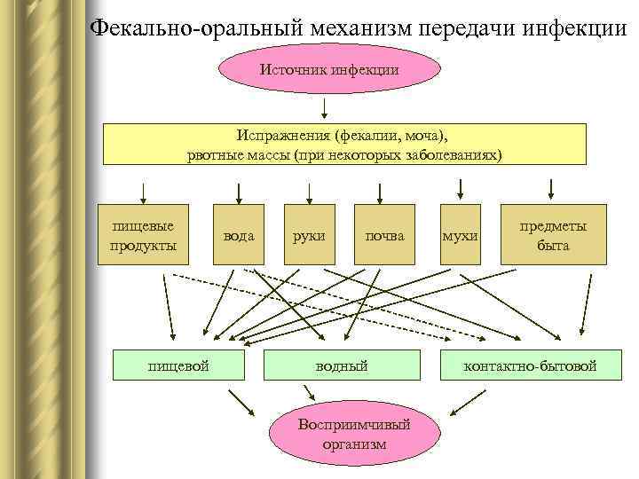 Фекально-оральный механизм передачи инфекции Источник инфекции Испражнения (фекалии, моча), рвотные массы (при некоторых заболеваниях)