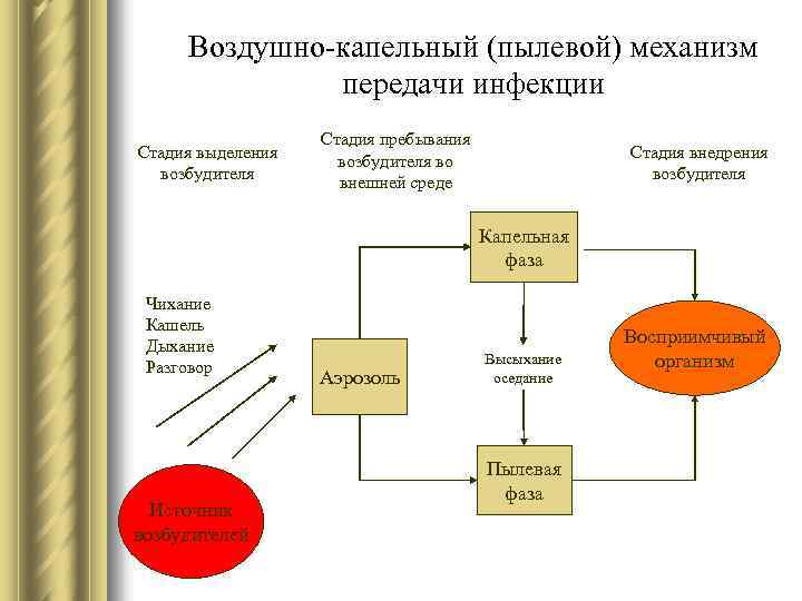 Механизмы передачи параметров. Механизм передачи инфекции капельный пылевой. Фазы механизма передачи возбудителя инфекции. Механизм передачи воздушно-капельных инфекций. Воздушно-пылевой путь передачи инфекции.