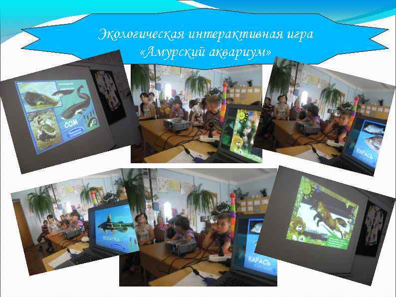Экологическая интерактивная игра «Амурский аквариум» 