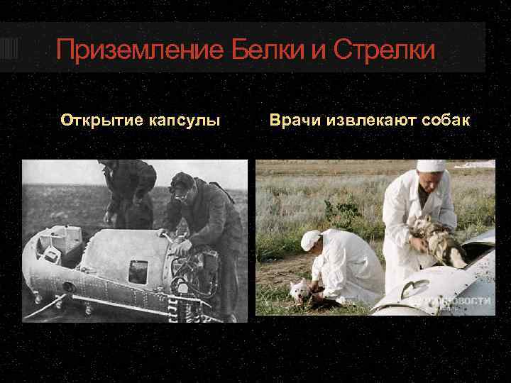 Приземление Белки и Стрелки Открытие капсулы Врачи извлекают собак 