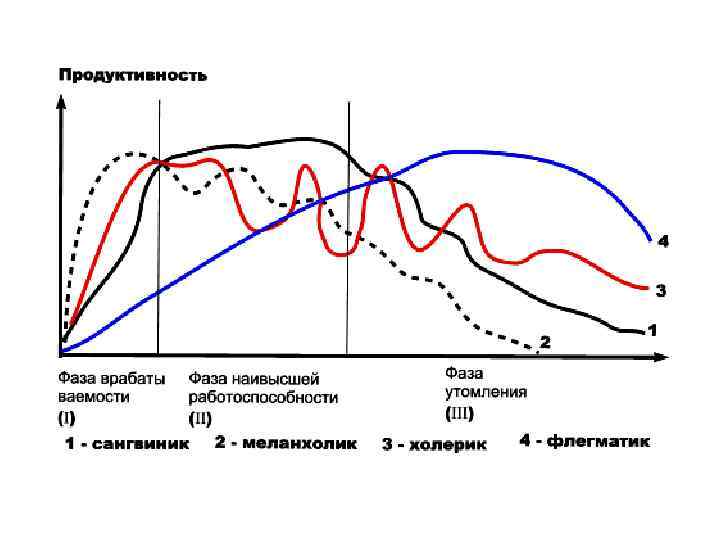 Фазы утомления. Суточная динамика физиологических показателей. Фазы работоспособности график. Суточный цикл активности мозга. Кривая продуктивности человека.