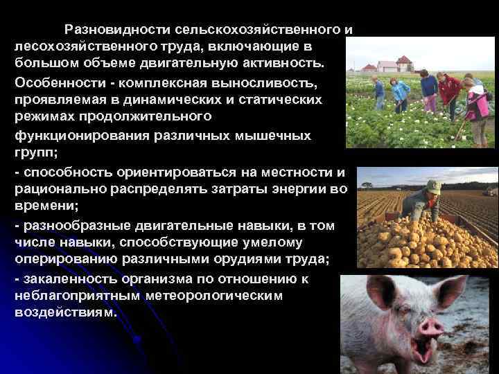 Разновидности сельскохозяйственного и лесохозяйственного труда, включающие в большом объеме двигательную активность. Особенности - комплексная