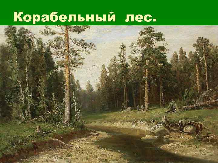 Корабельный лес. 