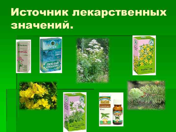 Источник лекарственных значений. 