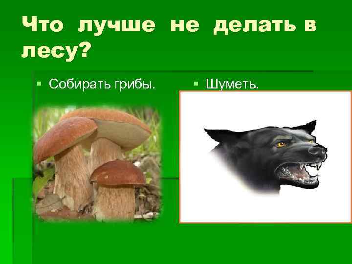 Что лучше не делать в лесу? § Собирать грибы. § Шуметь. 