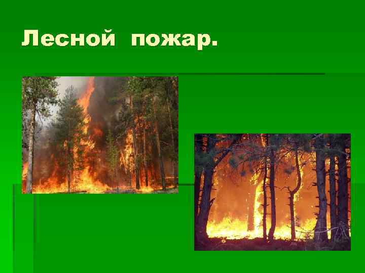 Лесной пожар. 