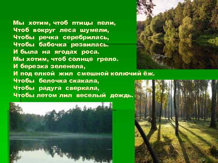 Мы хотим, чтоб птицы пели, Чтоб вокруг леса шумели, Чтобы речка серебрилась, Чтобы бабочка