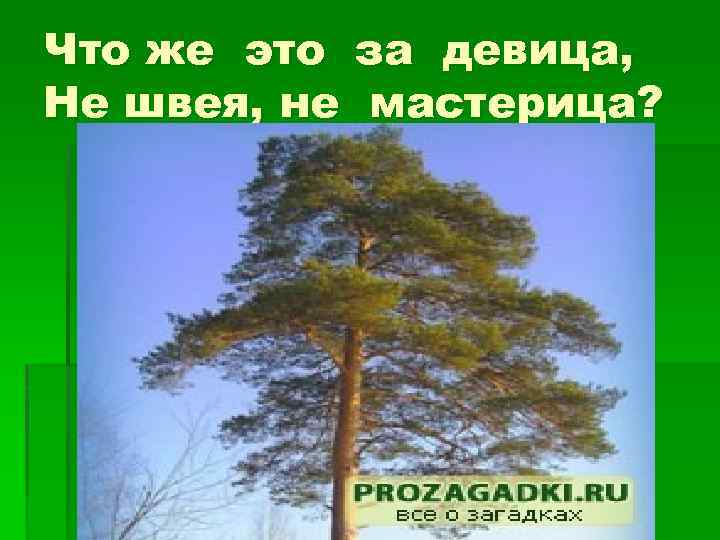 Что же это за девица, Не швея, не мастерица? 