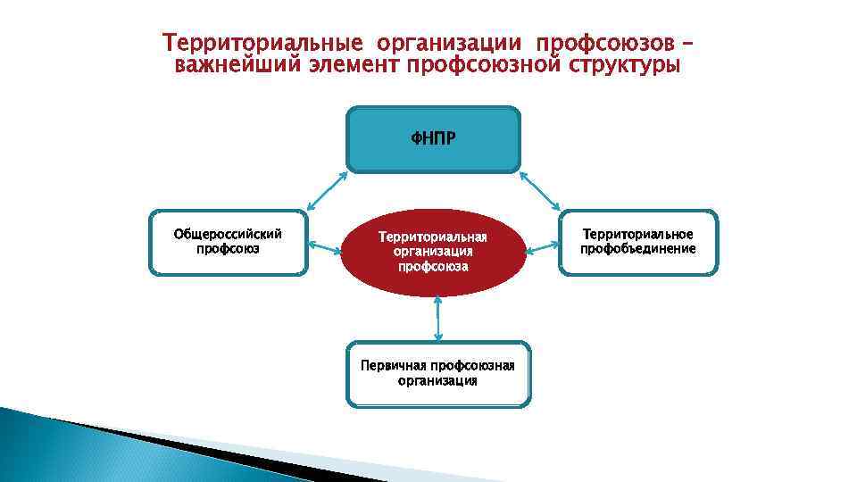 Схема профсоюзной организации структура первичной