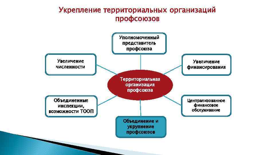 Укрепление территориальных организаций профсоюзов Уполномоченный представитель профсоюза Увеличение численности Увеличение финансирования Территориальная организация профсоюза