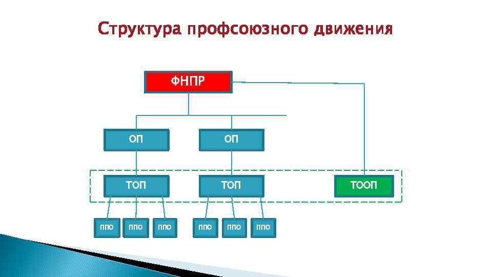 Структура профсоюзного движения ФНПР ОП ТОП ППО ППО ППО ТООП ППО 