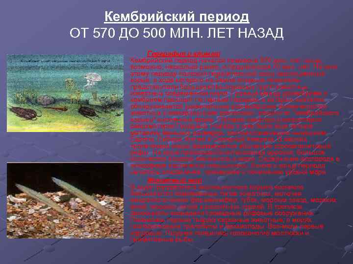 Кембрийский период ОТ 570 ДО 500 МЛН. ЛЕТ НАЗАД География и климат Кембрийский период