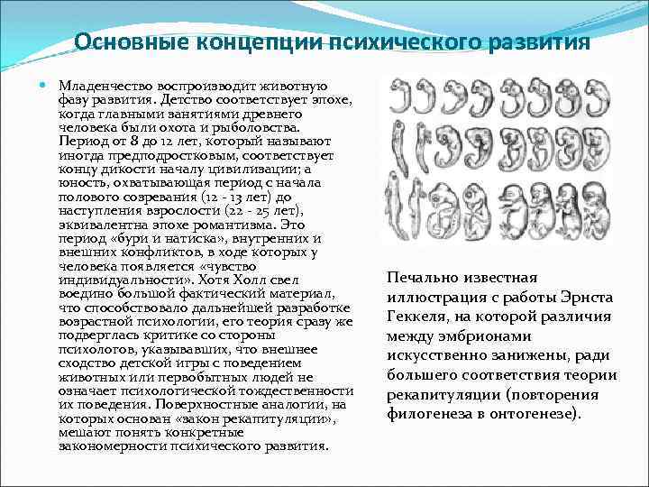 Основные концепции психического развития Младенчество воспроизводит животную фазу развития. Детство соответствует эпохе, когда главными