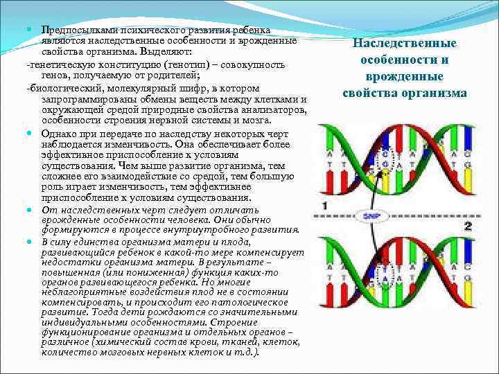  Предпосылками психического развития ребенка являются наследственные особенности и врожденные свойства организма. Выделяют: -генетическую