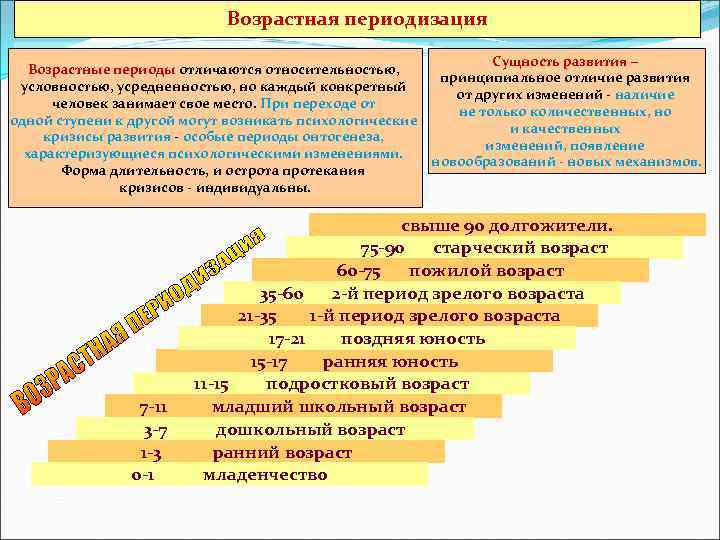 Возрастная периодизация Сущность развития – Возрастные периоды отличаются относительностью, принципиальное отличие развития условностью, усредненностью,