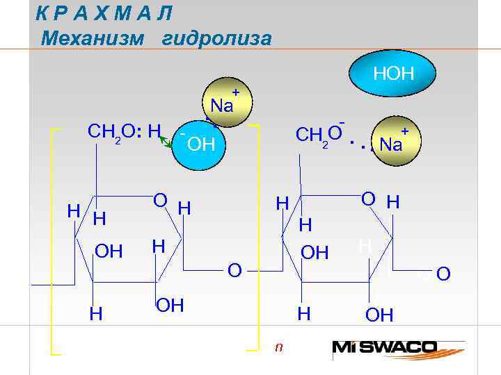 КРАХМАЛ Механизм гидролиза НОН + CH 2 O: H - H H O OH