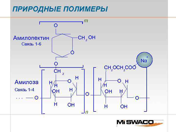 ПРИРОДНЫЕ ПОЛИМЕРЫ m O Aмилопектин CH 2 OH Связь 1 -6 O O CH