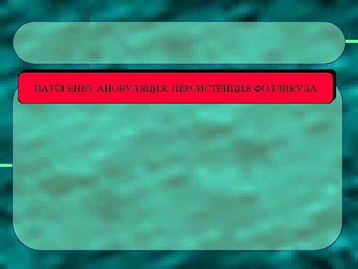 ПАТОГЕНЕЗ: АНОВУЛЯЦИЯ, ПЕРСИСТЕНЦИЯ ФОЛЛИКУЛА 