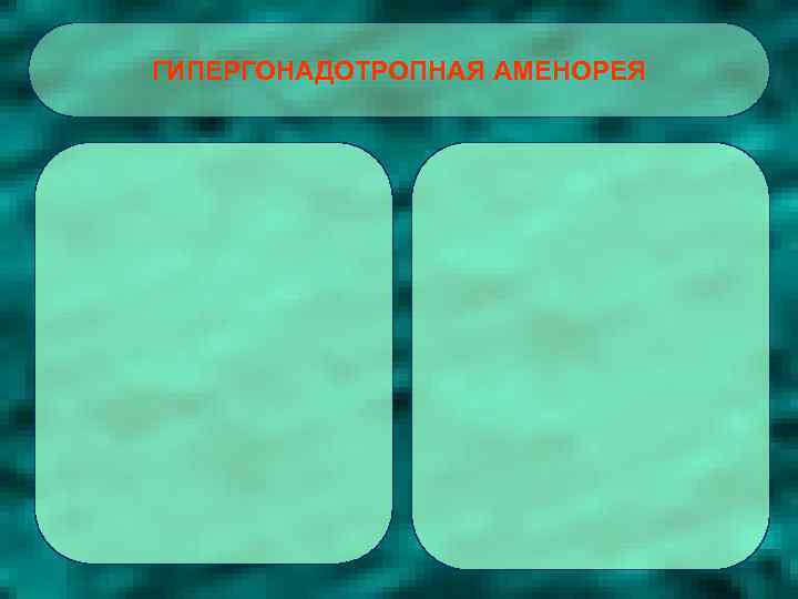 ГИПЕРГОНАДОТРОПНАЯ АМЕНОРЕЯ 