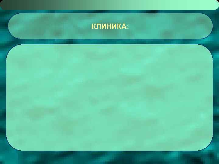 КЛИНИКА: 