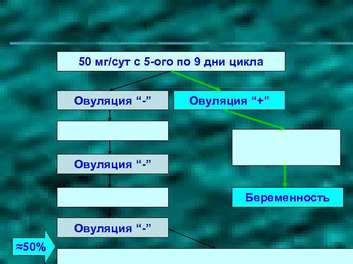 50 мг/сут с 5 -ого по 9 дни цикла Овуляция “-” Овуляция “+” Овуляция