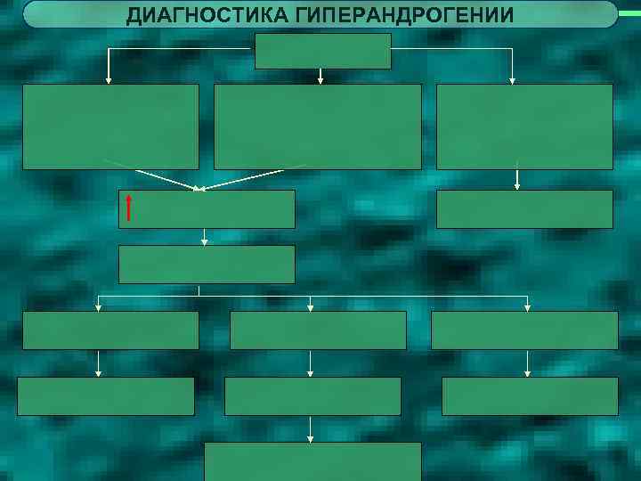 ДИАГНОСТИКА ГИПЕРАНДРОГЕНИИ 