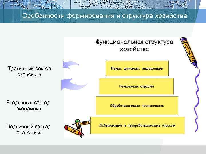 Особенности формирования и структура хозяйства Третичный сектор экономики Вторичный сектор экономики Первичный сектор экономики