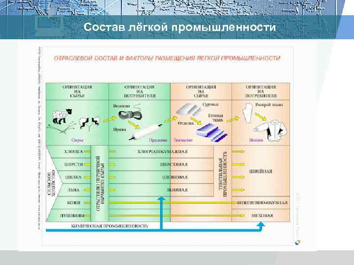 Состав лёгкой промышленности 