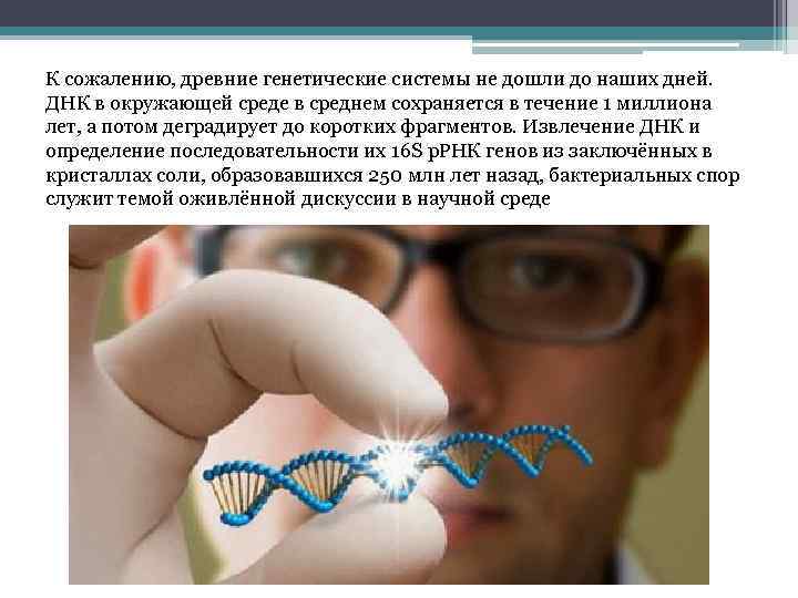 К сожалению, древние генетические системы не дошли до наших дней. ДНК в окружающей среде