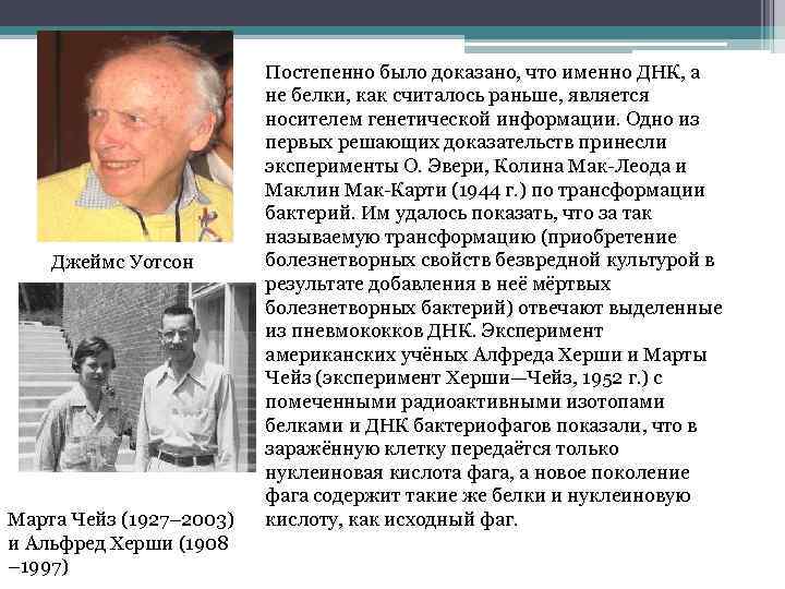 Джеймс Уотсон Марта Чейз (1927– 2003) и Альфред Херши (1908 – 1997) Постепенно было