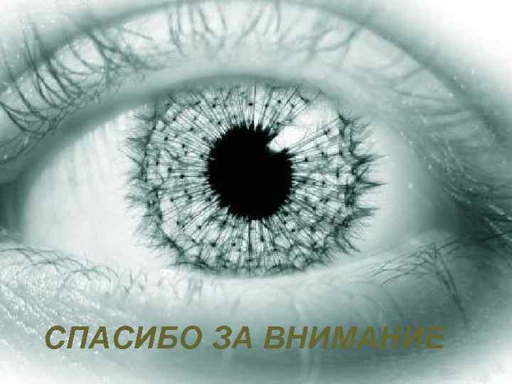 СПАСИБО ЗА ВНИМАНИЕ 