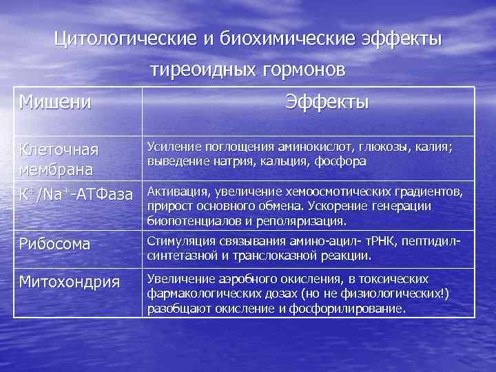 Цитологические и биохимические эффекты тиреоидных гормонов Мишени Эффекты Клеточная мембрана К+/Na+-АТФаза Усиление поглощения аминокислот,
