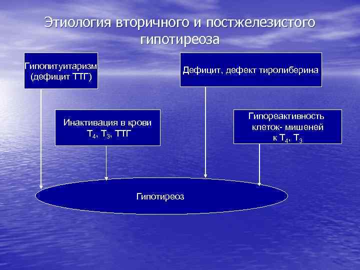 Гипотиреоз патофизиология презентация