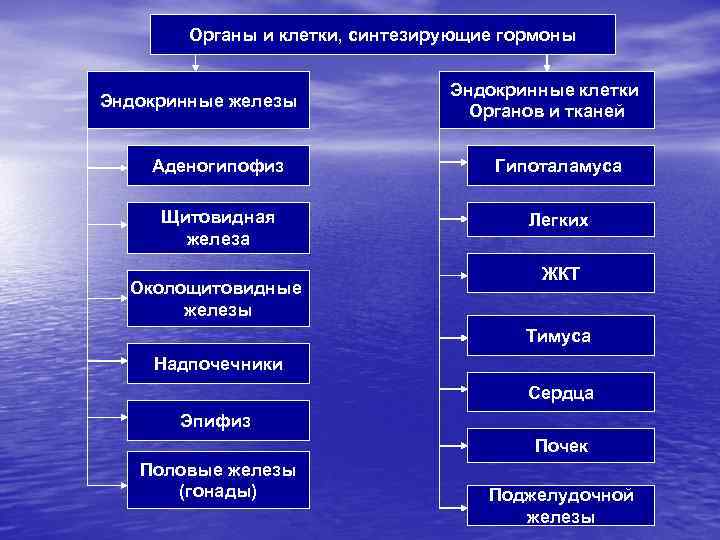 Щитовидная железа патофизиология презентация - 83 фото