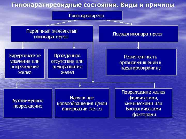 Гиперпаратиреоз патофизиология презентация