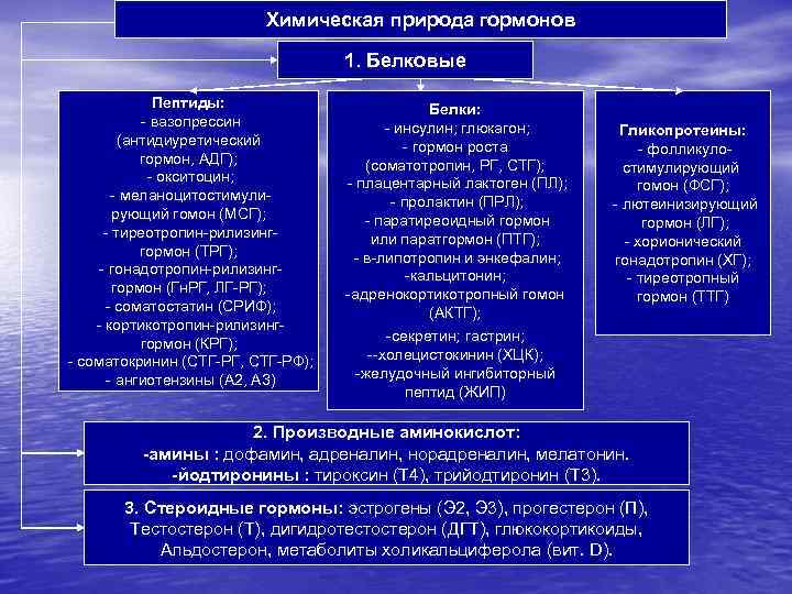 Химическая природа гормонов 1. Белковые Пептиды: - вазопрессин (антидиуретический гормон, АДГ); - окситоцин; -