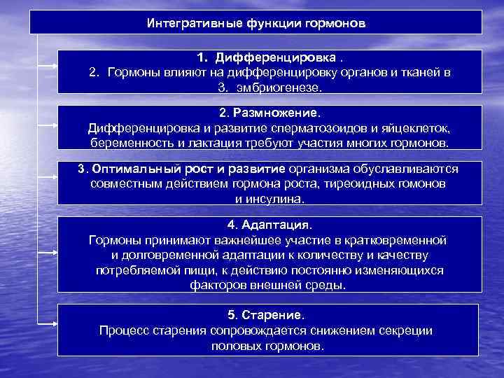 Интегративные функции гормонов 1. Дифференцировка. 2. Гормоны влияют на дифференцировку органов и тканей в