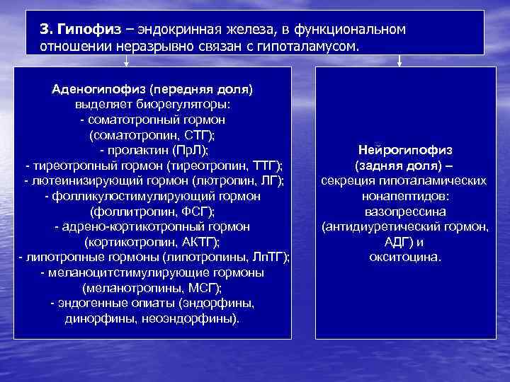 3. Гипофиз – эндокринная железа, в функциональном отношении неразрывно связан с гипоталамусом. Аденогипофиз (передняя