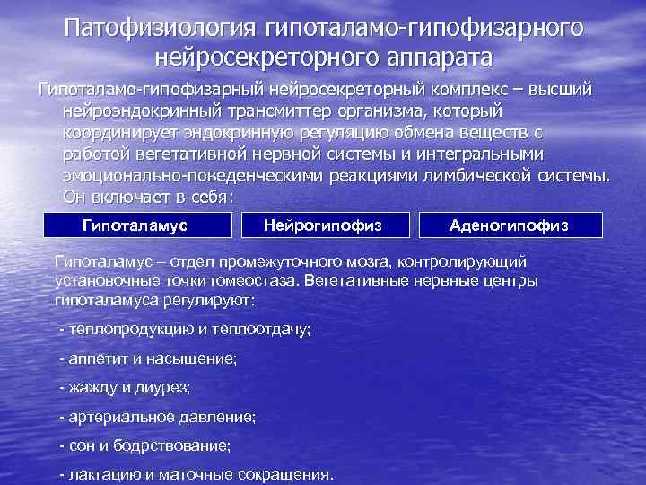 Патология эндокринной системы патофизиология презентация