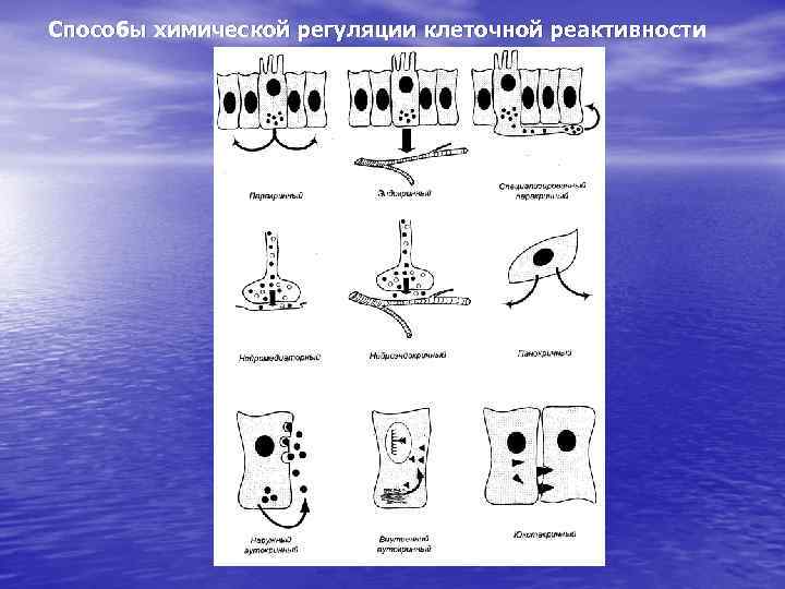 Способы химической регуляции клеточной реактивности 