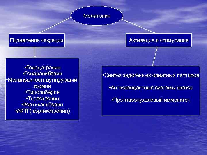 Мелатонин Подавление секреции • Гонадотропин • Гонадолиберин • Меланоцитостимулирующий гормон • Тиролиберин • Тиреотропин